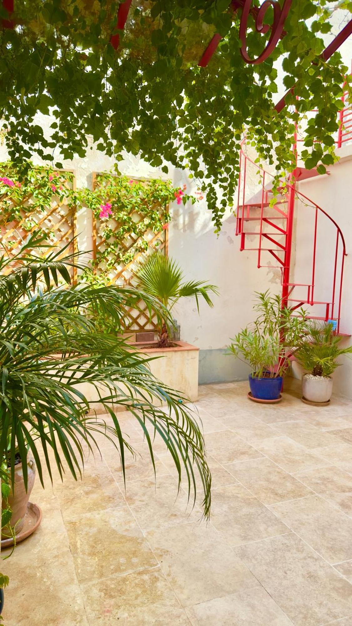 Gite Avignon Bougainvillier Dış mekan fotoğraf